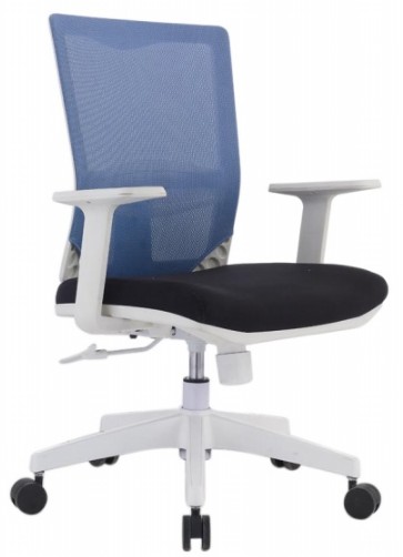 Office chair， task chair， staff chair， computer chair， meeting chair， conference chair, ergonomic chair, 辦公室椅,工作椅,職員椅, 電腦椅, 會議椅 人體工學椅, www.brilliantspace.com.hk